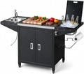 Stainless Steel Outdoor Grill Cart With Sink